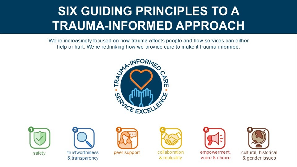 Trauma informed care approach diagram